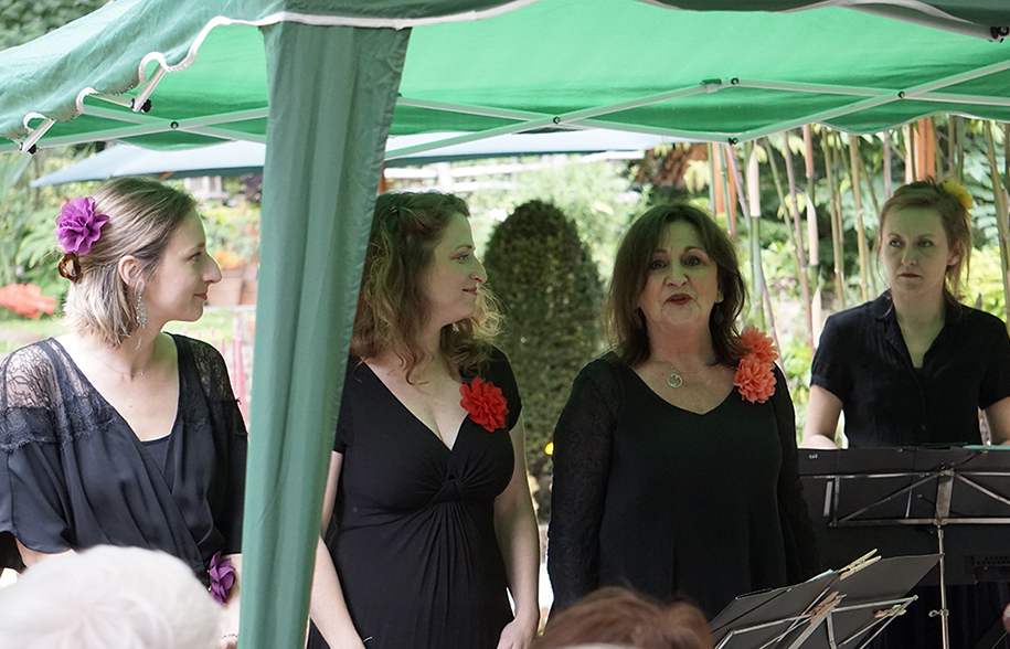 au Jardin du Clos des Cèdres de Saint Cyr sur Loire (37)