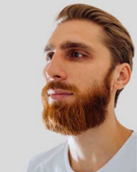 Photo de VYSHEBABA Pavlo