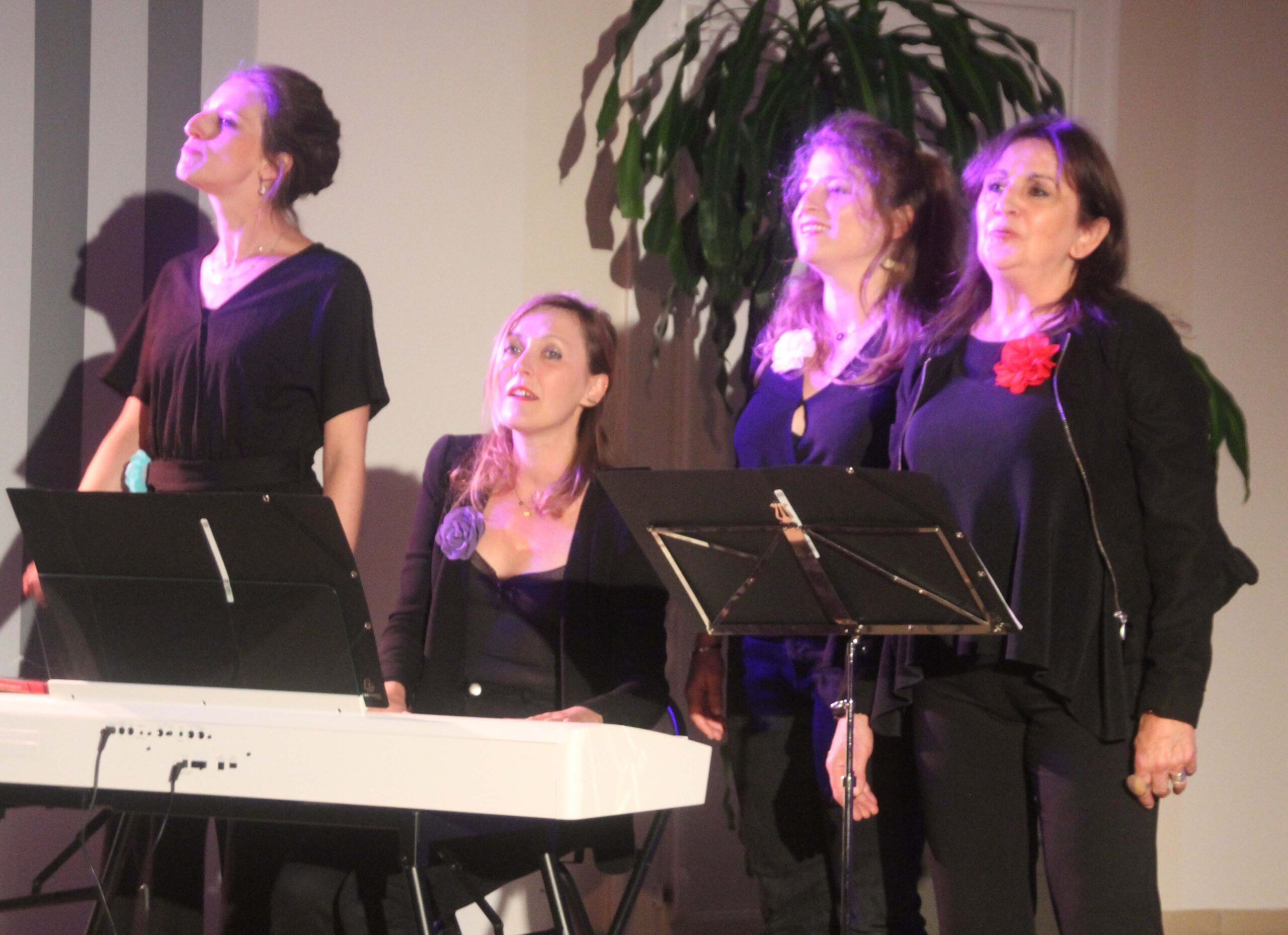 à la Salle des Fêtes de Moléans (28)