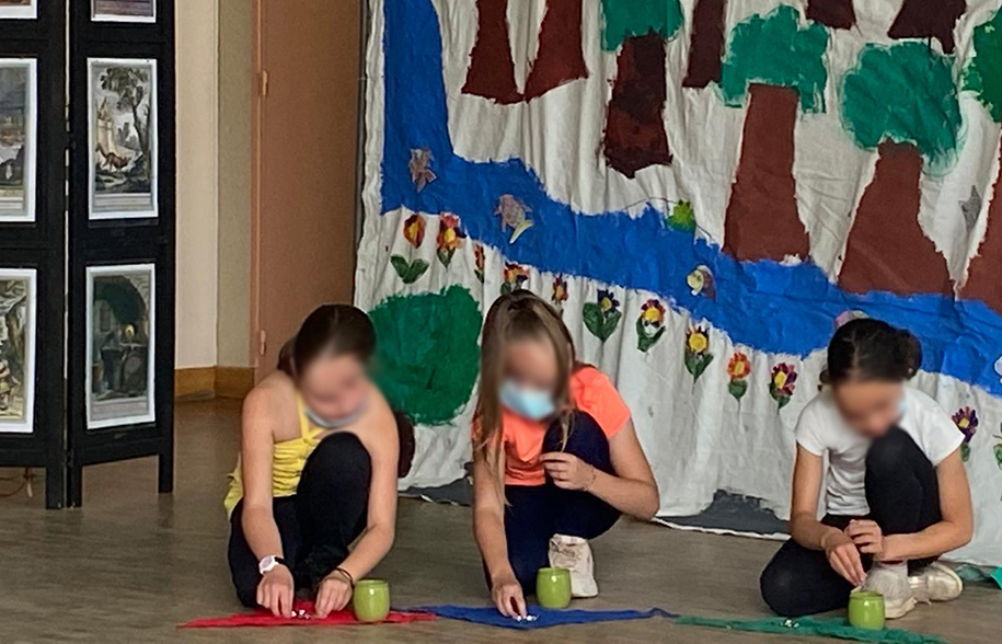 à la Salle des Fêtes de La Haye (28)